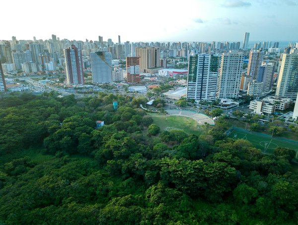 Idées de décoration murale hexoa pour un intérieur contemporain
