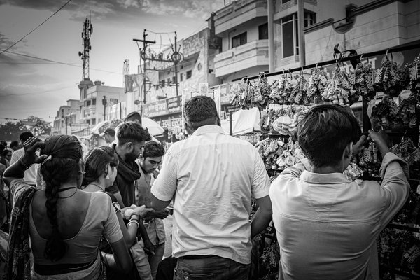 Découvrez la meilleure tomate pour vos recettes