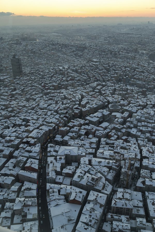 Quels sont les impacts de l'urbanisation sur la biodiversité locale et comment y remédier ?