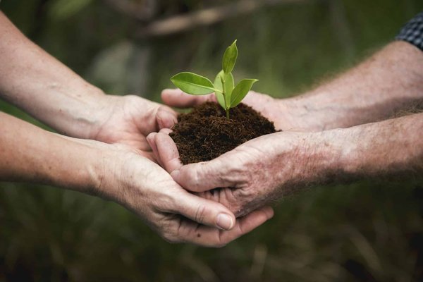 Quelles méthodes pour encourager la conservation de l'eau dans les établissements scolaires ?